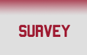 Survey