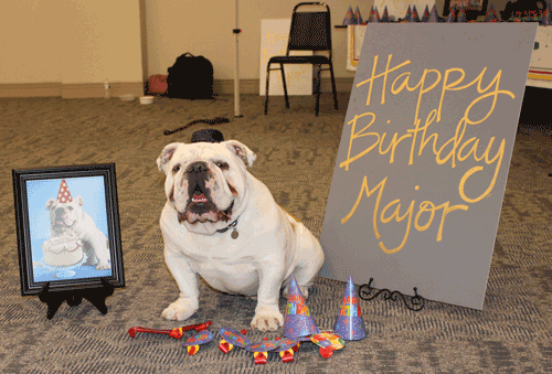 Pictured is Major, Holmes' mascot, celebrating his first birthday during the Grenada Campus Freshman Friday event on April 5. He will continue the celebration during the Ridgeland Campus Freshman Friday on April 13.
